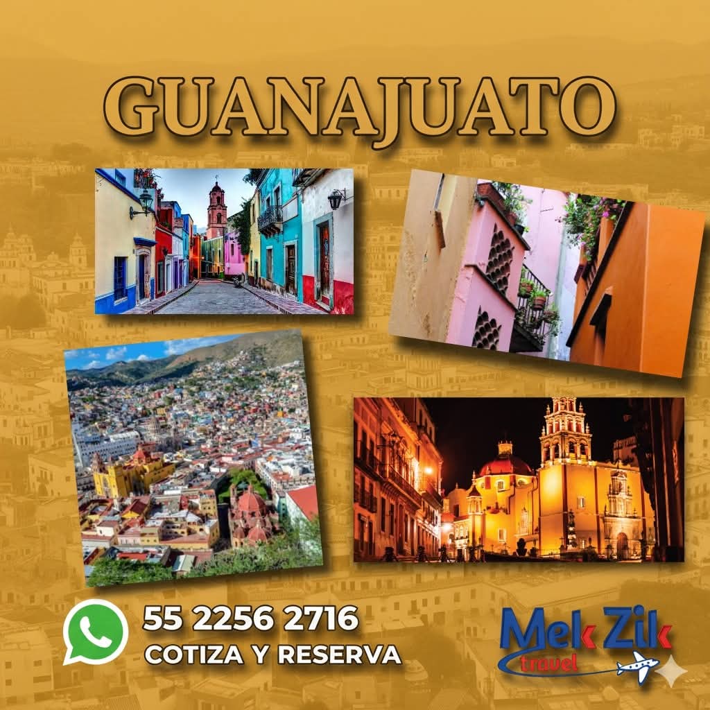 Descripción de la imagen