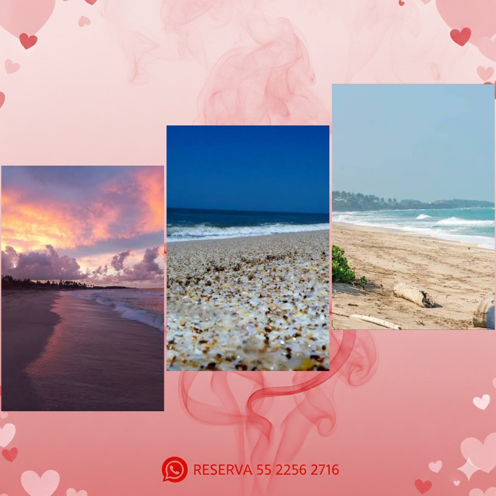 Descripción de la imagen