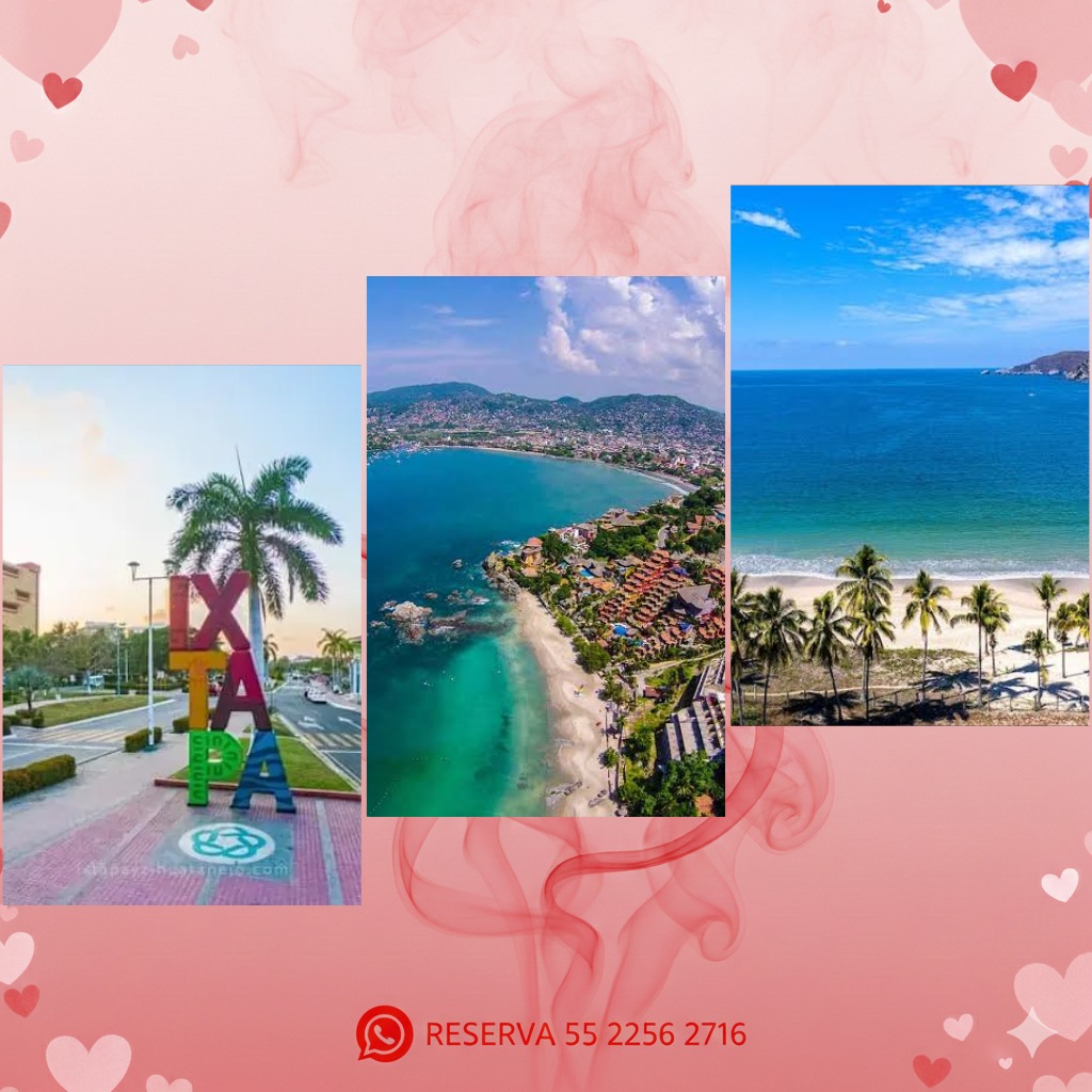 Descripción de la imagen