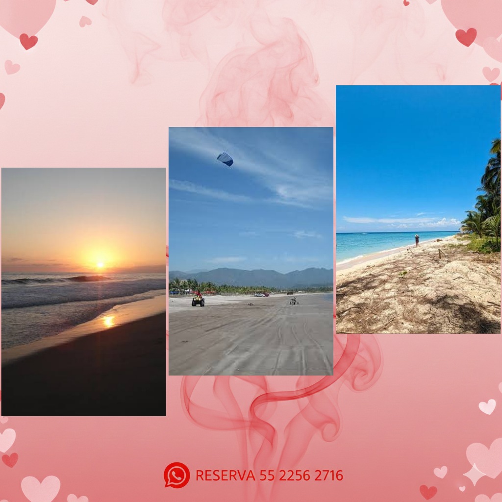 Descripción de la imagen