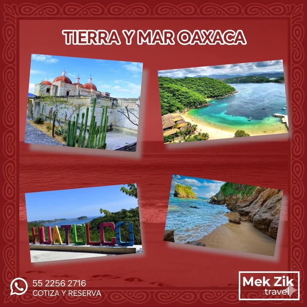 Descripción de la imagen