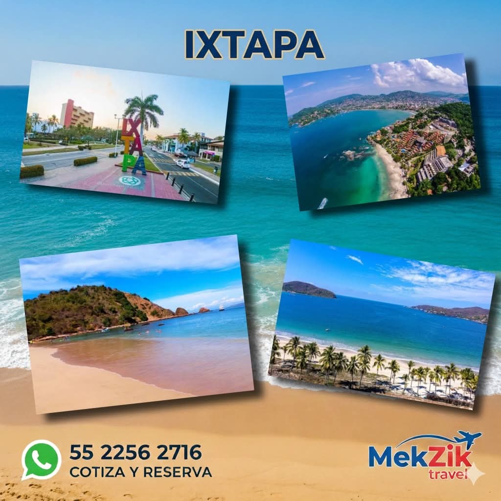 Descripción de la imagen